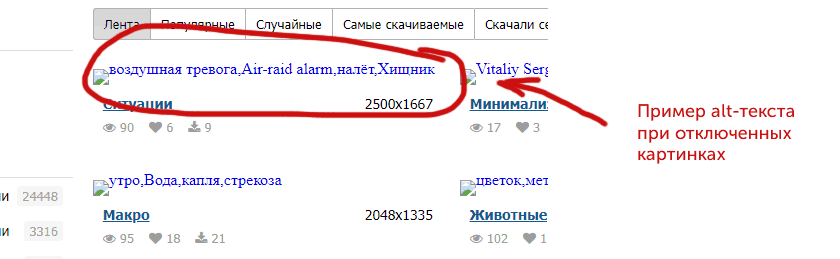 пример атрибута alt